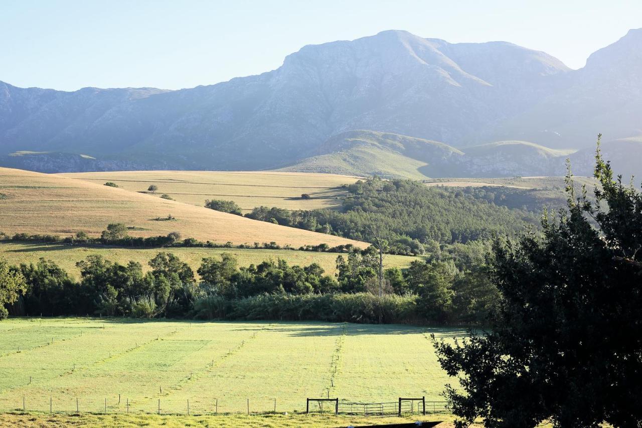 Hostal Joubertsdal Country Estate Swellendam Exterior foto